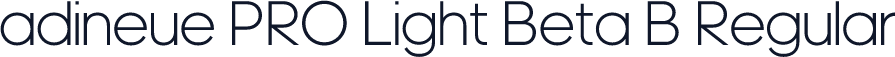 adineue PRO Light Beta B Regular