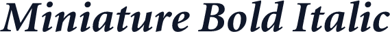 Miniature Bold Italic
