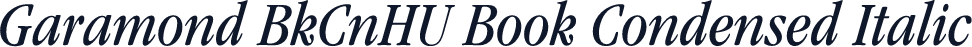 Garamond BkCnHU Book Condensed Italic