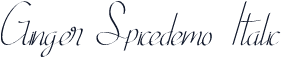 Ginger Spicedemo Italic