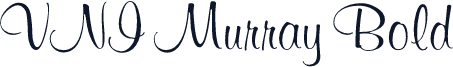 VNI Murray Bold