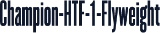 Champion-HTF-1-Flyweight