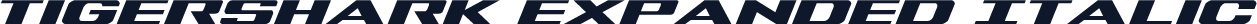 Tigershark Expanded Italic