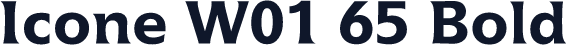Icone W01 65 Bold