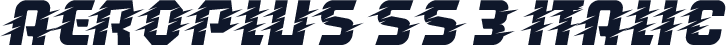 Aeroplus SS 3 Italic