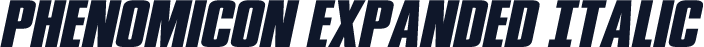 Phenomicon Expanded Italic