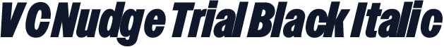 VC Nudge Trial Black Italic