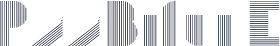P22BifurE