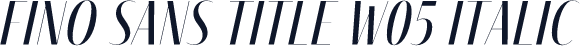 Fino Sans Title W05 Italic
