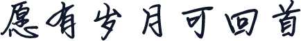 愿有岁月可回首
