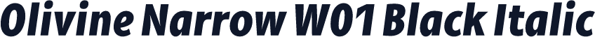 Olivine Narrow W01 Black Italic
