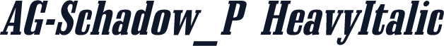 AG-Schadow_P HeavyItalic