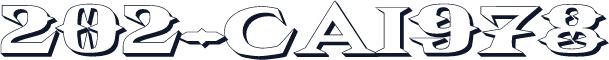 202-CAI978