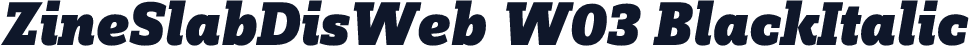 ZineSlabDisWeb W03 BlackItalic