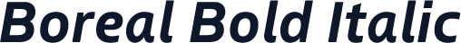 Boreal Bold Italic
