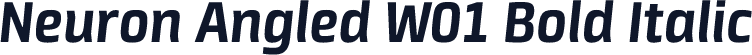 Neuron Angled W01 Bold Italic