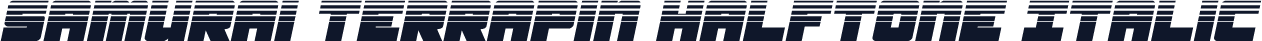 Samurai Terrapin Halftone Italic