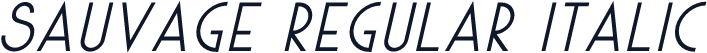 Sauvage Regular Italic