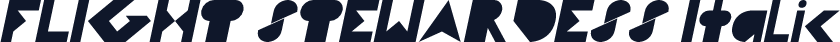 FLIGHT STEWARDESS Italic