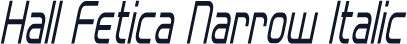 Hall Fetica Narrow Italic