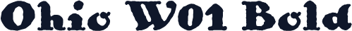 Ohio W01 Bold