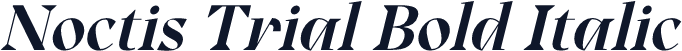 Noctis Trial Bold Italic