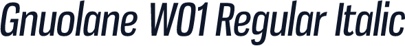 Gnuolane W01 Regular Italic