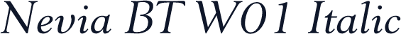 Nevia BT W01 Italic