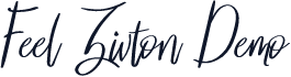 Feel Zivton Demo