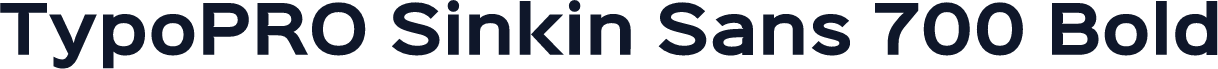 TypoPRO Sinkin Sans 700 Bold