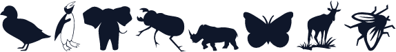 Animals 2