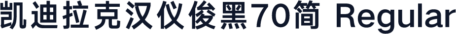凯迪拉克汉仪俊黑70简 Regular