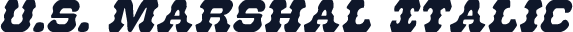 U.S. Marshal Italic