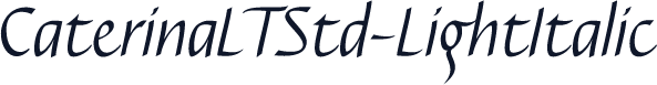 CaterinaLTStd-LightItalic