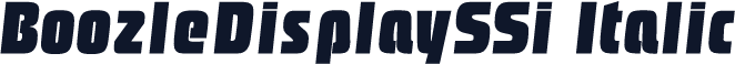 BoozleDisplaySSi Italic