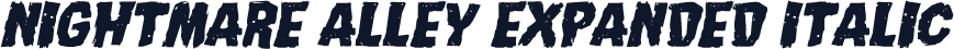 Nightmare Alley Expanded Italic