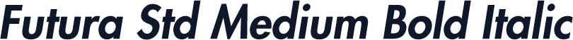 Futura Std Medium Bold Italic