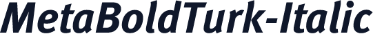 MetaBoldTurk-Italic