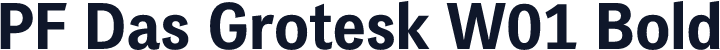 PF Das Grotesk W01 Bold