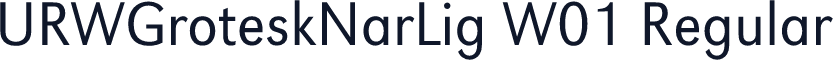 URWGroteskNarLig W01 Regular