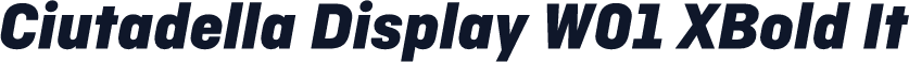 Ciutadella Display W01 XBold It