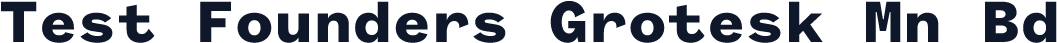 Test Founders Grotesk Mn Bd