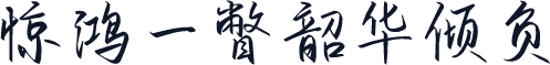 惊鸿一瞥韶华倾负