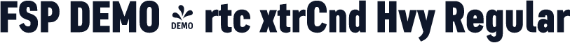 FSP DEMO - rtc xtrCnd Hvy Regular