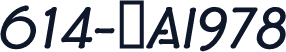 614-ŃAI978