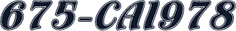 675-CAI978