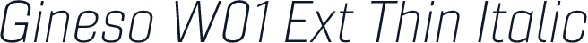 Gineso W01 Ext Thin Italic