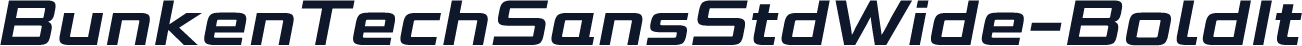 ☞BunkenTechSansStdWide-BoldIt