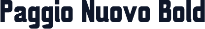 Paggio Nuovo Bold