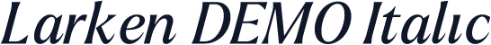 Larken DEMO Italic